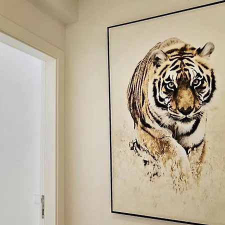 Hdfm Collection - Centro