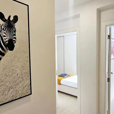 Hdfm Collection - Centro