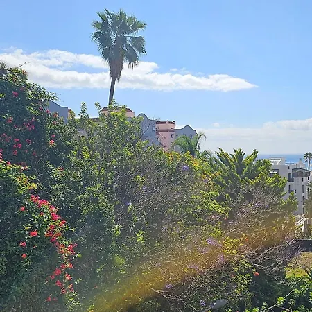Center With Sea Views & Free Parking By Your Key Madeira * Funchal (Madeira)