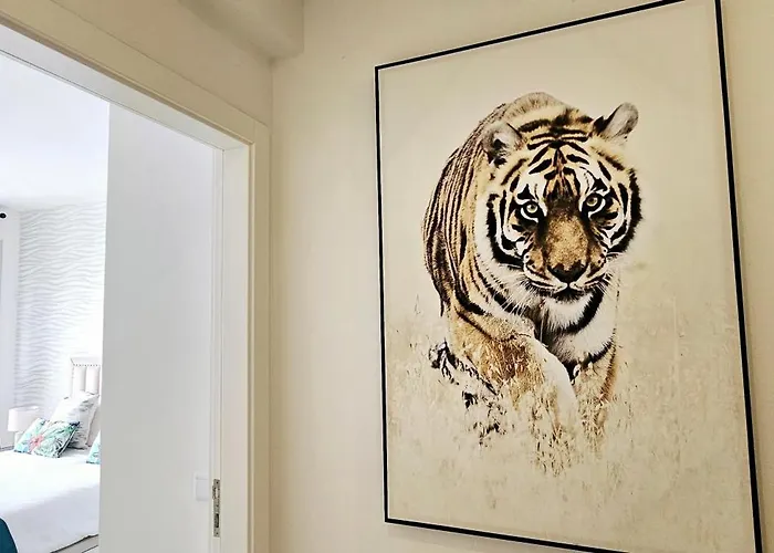 Hdfm Collection - Centro