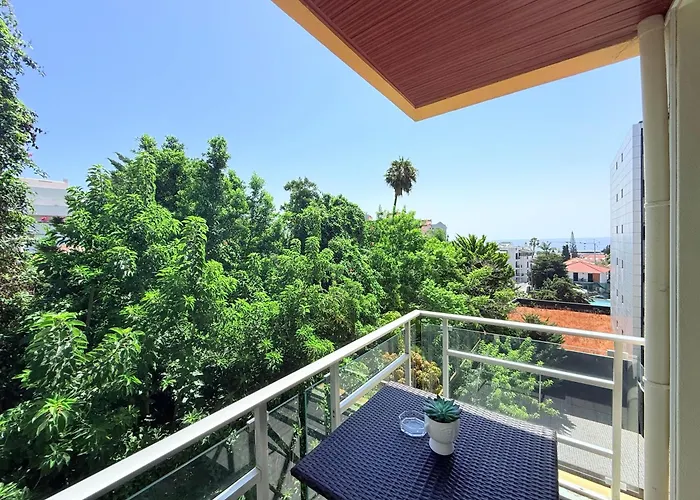 Hdfm Collection - Centro Funchal (Madeira)