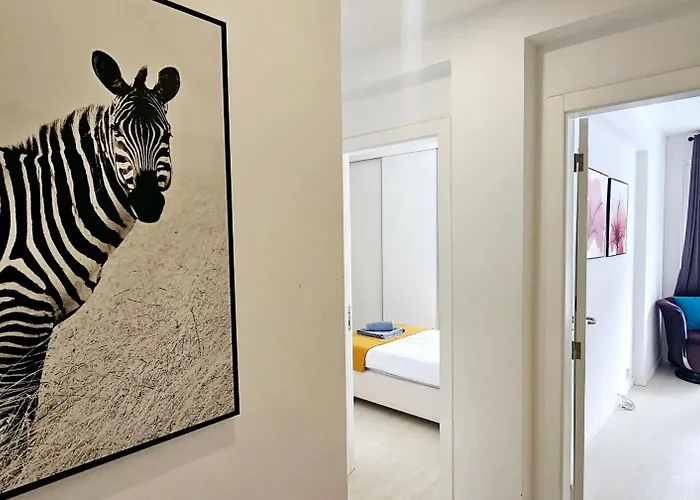 Hdfm Collection - Centro