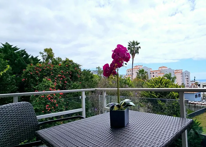 Hdfm Collection - Centro