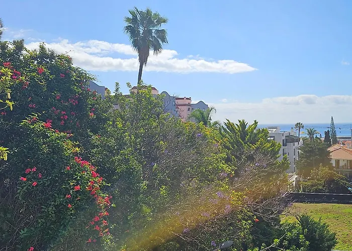 Hdfm Collection - Centro * Funchal (Madeira)